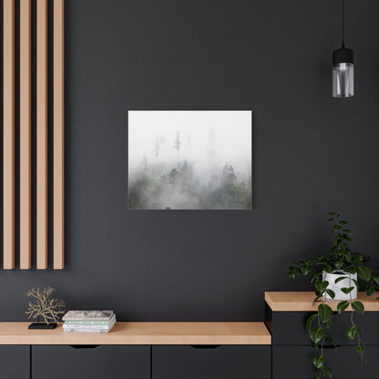 Forest, Matte Canvas, Stretched, 1.25"