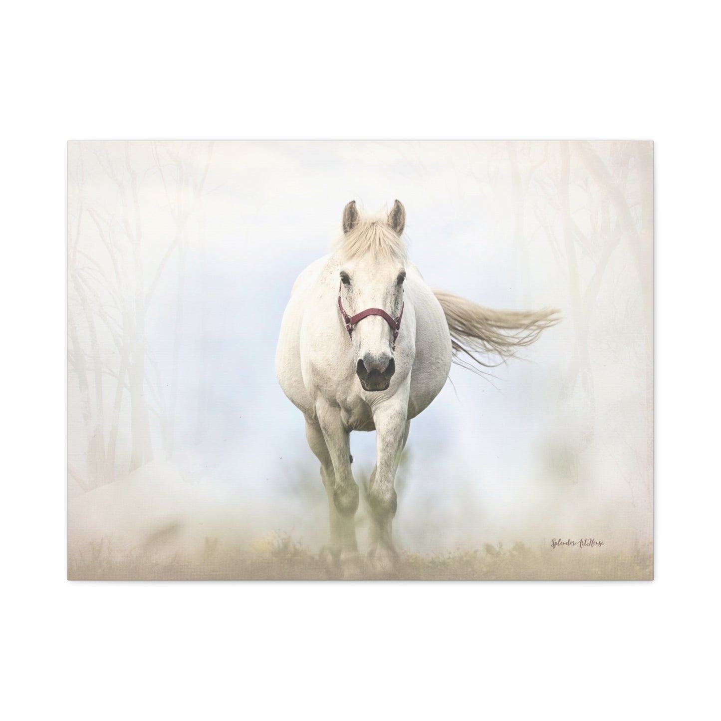 Horse, Matte Canvas, Stretched, 1.25"