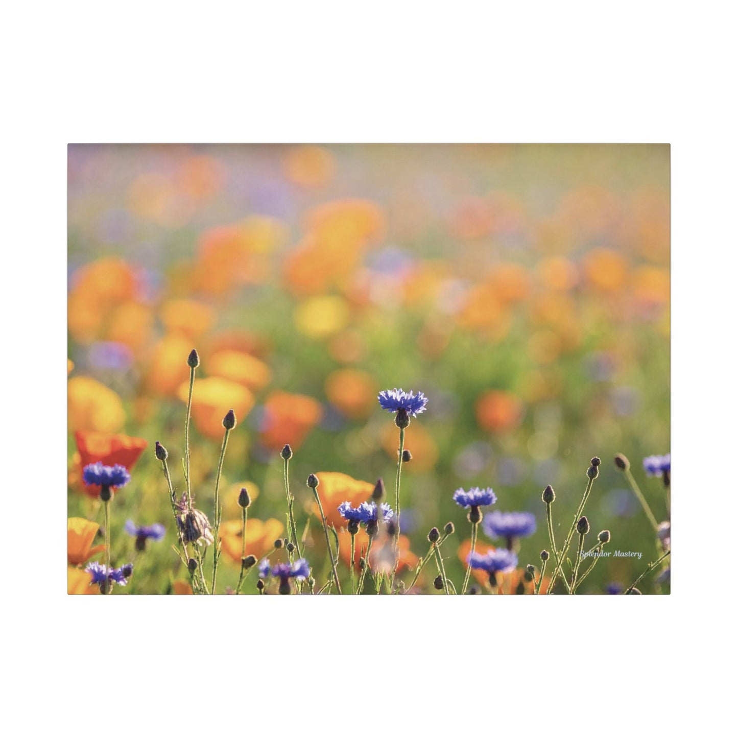 Floral, Matte Canvas, Stretched, 0.75"