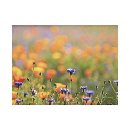 Floral, Matte Canvas, Stretched, 0.75"