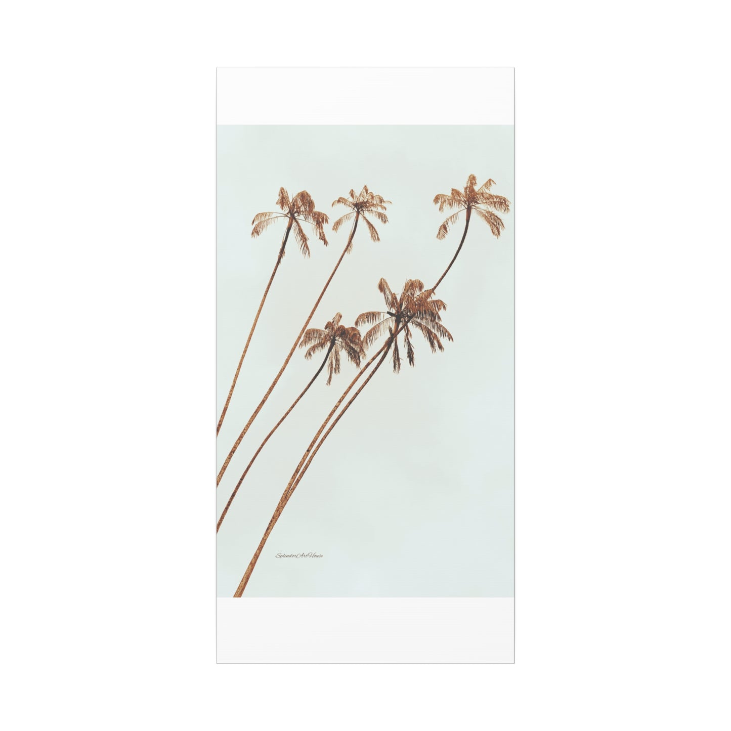 Palm Tree, Matte Canvas, Stretched, 1.25"