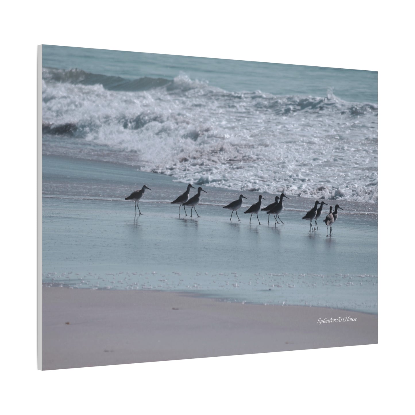 Birds, Matte Canvas, Stretched, 1.25"