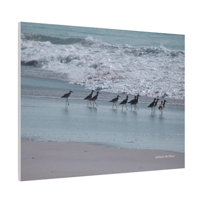 Birds, Matte Canvas, Stretched, 1.25"