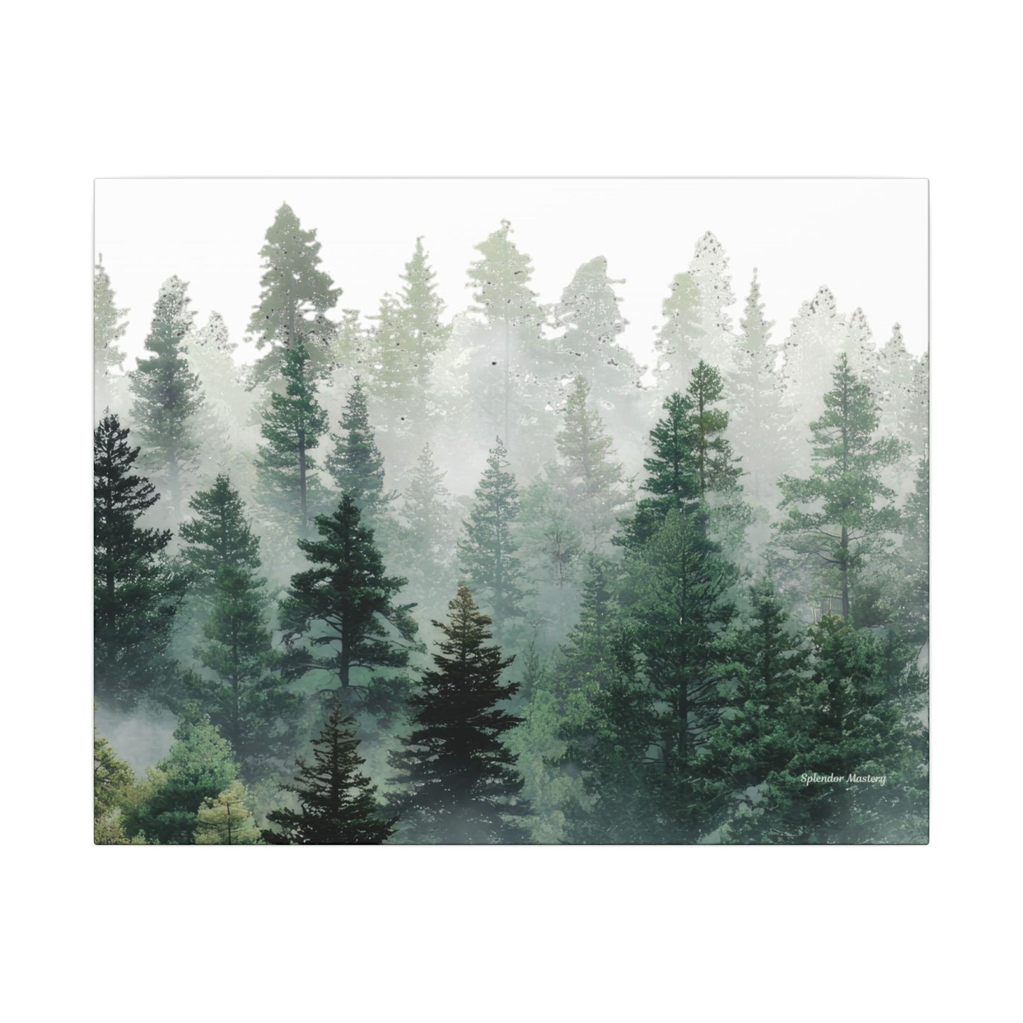 Forest Trees, Matte Canvas, Stretched, 0.75"