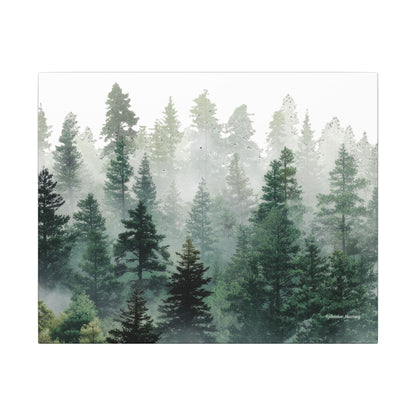Forest Trees, Matte Canvas, Stretched, 0.75"