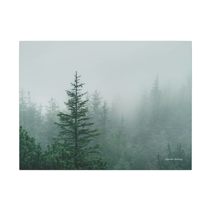 Forest Trees, Matte Canvas, Stretched, 0.75"