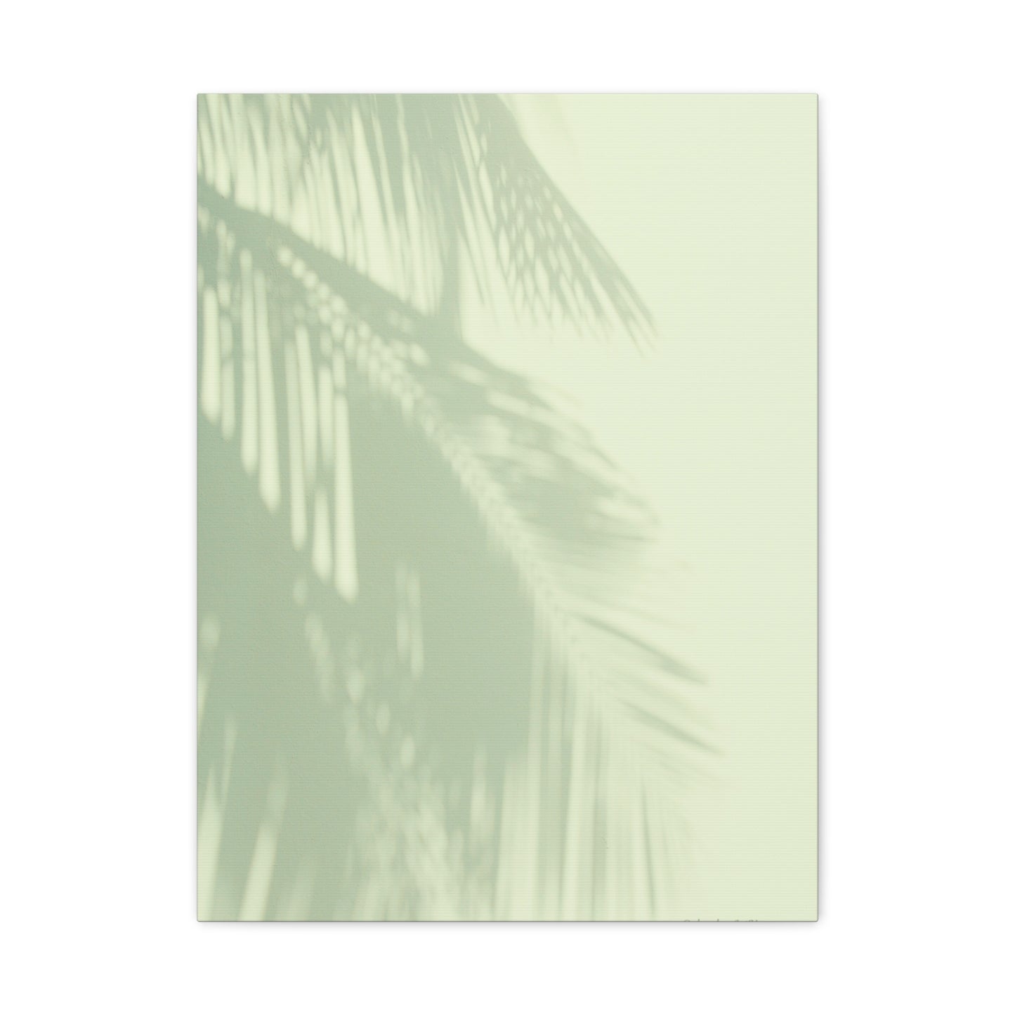 Palm Tree, Matte Canvas, Stretched, 1.25"