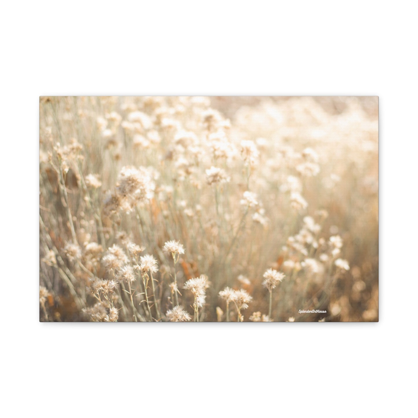 Floral, Matte Canvas, Stretched, 1.25"