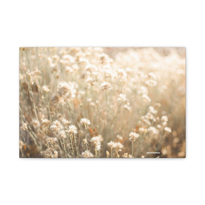Floral, Matte Canvas, Stretched, 1.25"