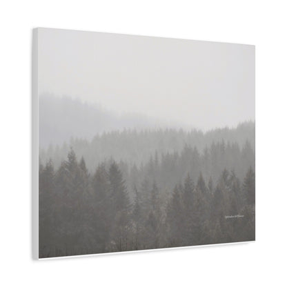 Forest, Matte Canvas, Stretched, 1.25"