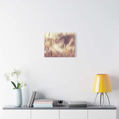 Grass, Matte Canvas, Stretched, 1.25"
