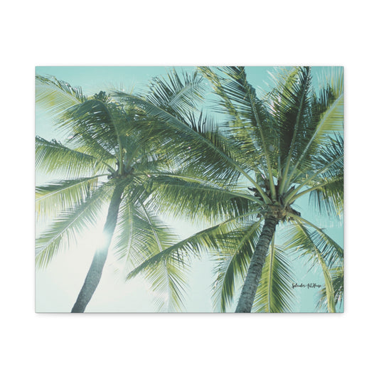 Palm Trees, Matte Canvas, Stretched, 1.25"