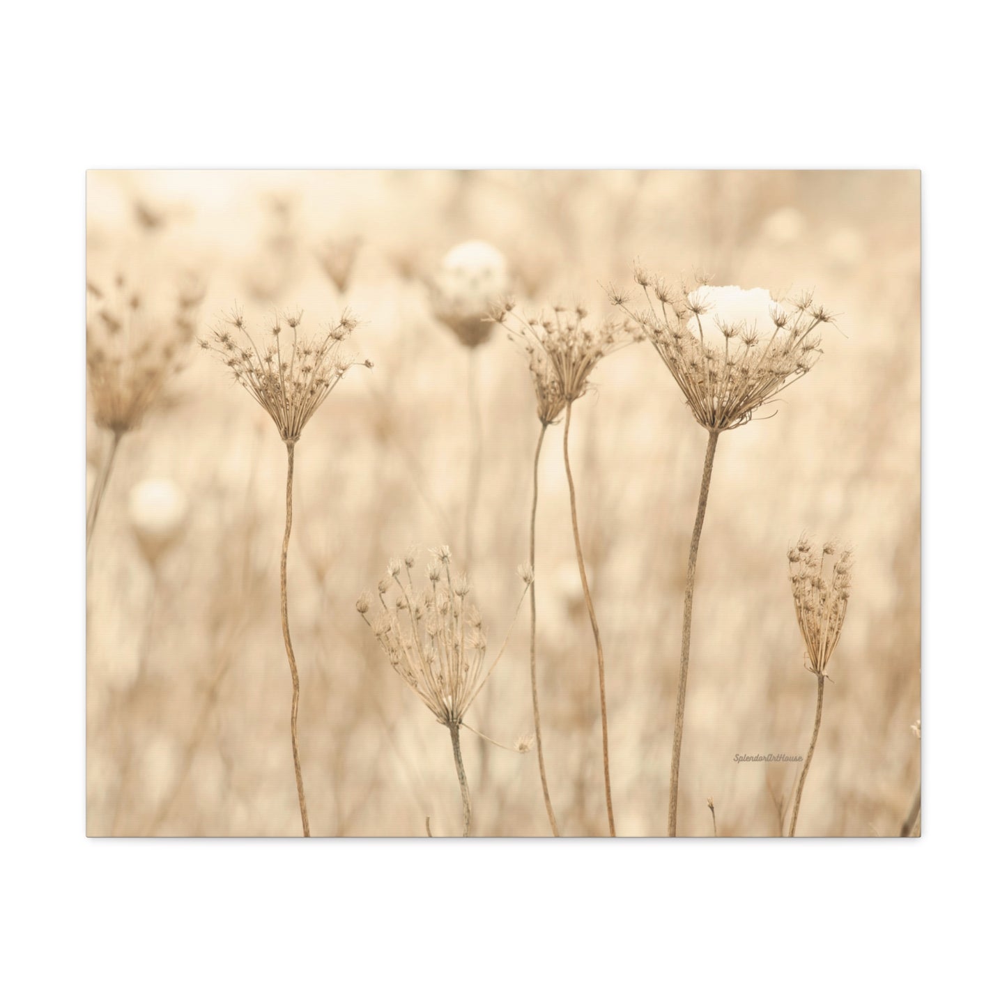 Floral, Matte Canvas, Stretched, 1.25"