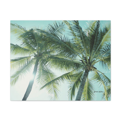 Palm Trees, Matte Canvas, Stretched, 1.25"
