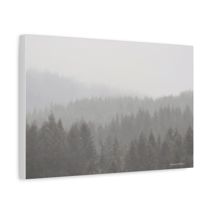 Forest, Matte Canvas, Stretched, 1.25"