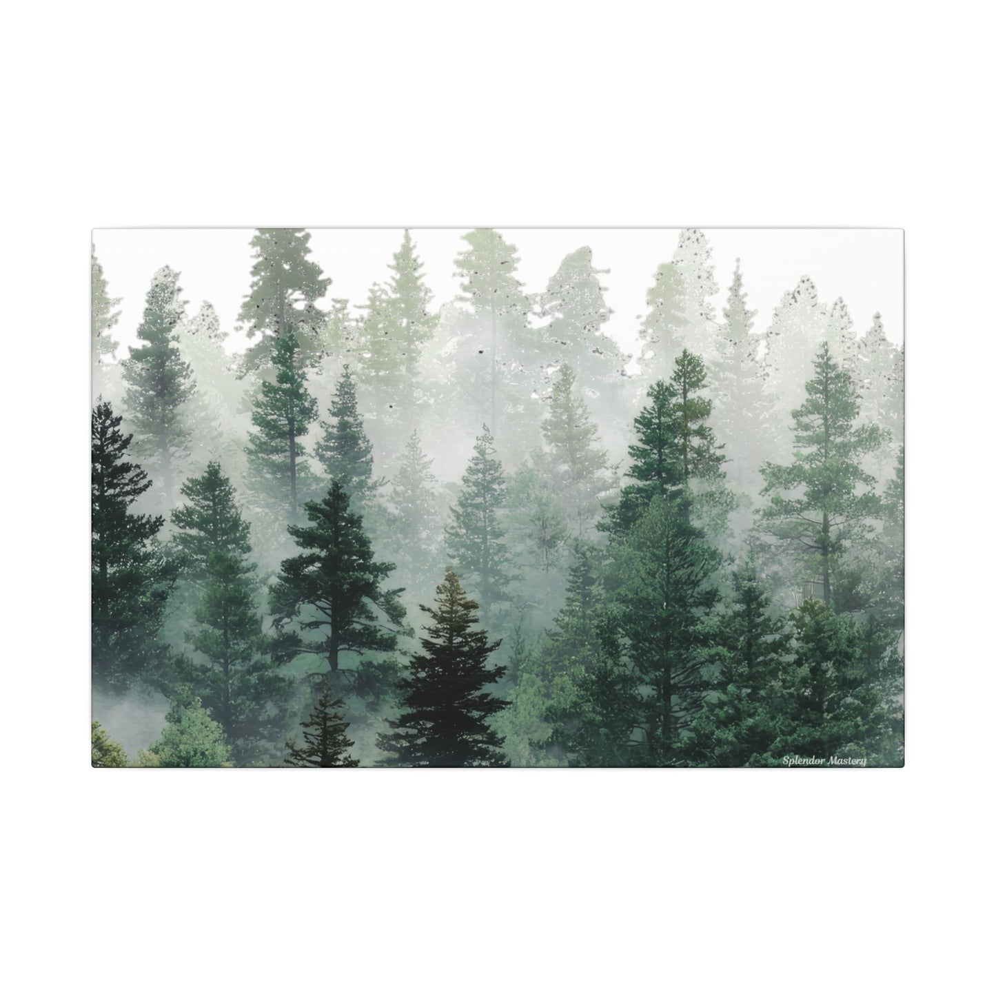 Forest Trees, Matte Canvas, Stretched, 0.75"