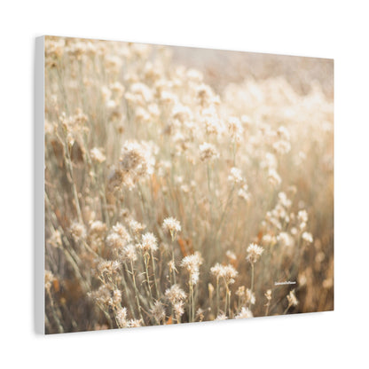 Floral, Matte Canvas, Stretched, 1.25"
