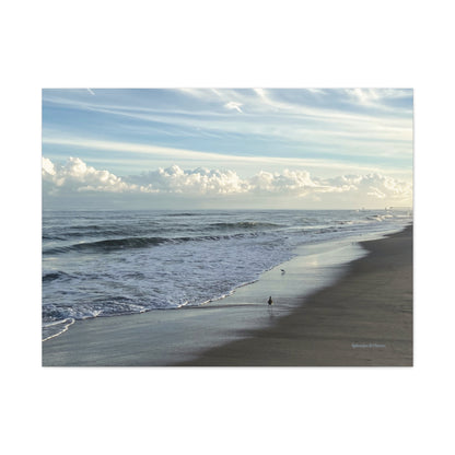 Ocean, Matte Canvas, Stretched, 1.25"