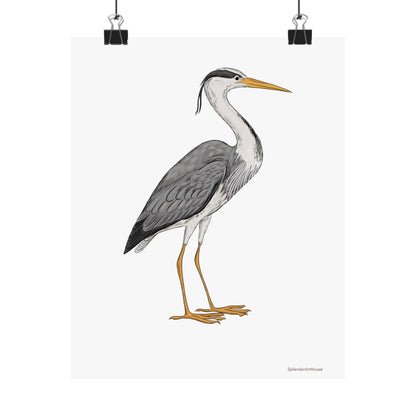 Bird, Matte Vertical Poster