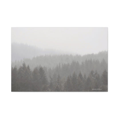 Forest, Matte Canvas, Stretched, 1.25"