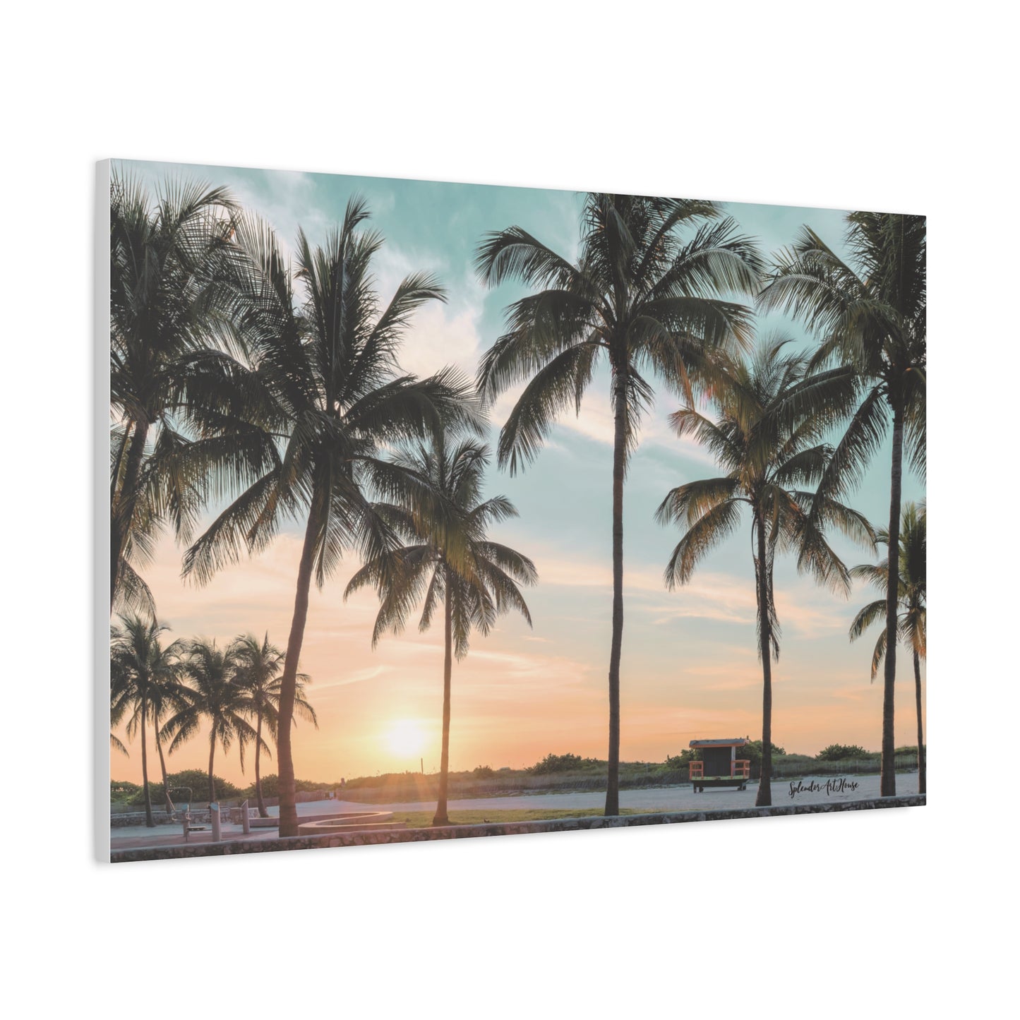 Palm Trees, Matte Canvas, Stretched, 1.25"