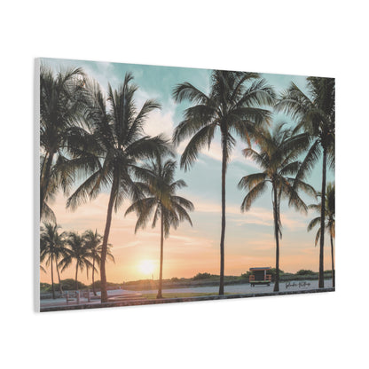 Palm Trees, Matte Canvas, Stretched, 1.25"