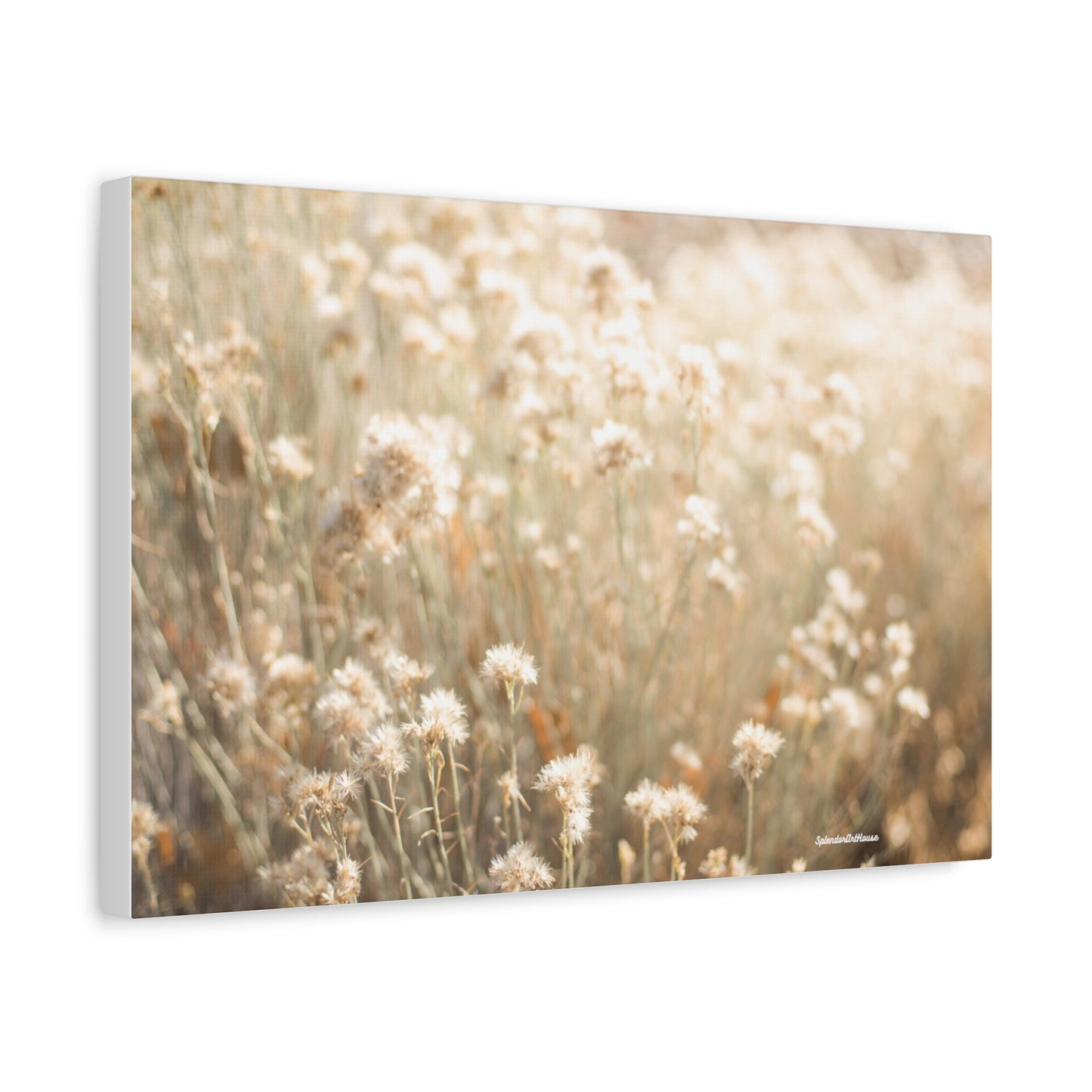 Floral, Matte Canvas, Stretched, 1.25"