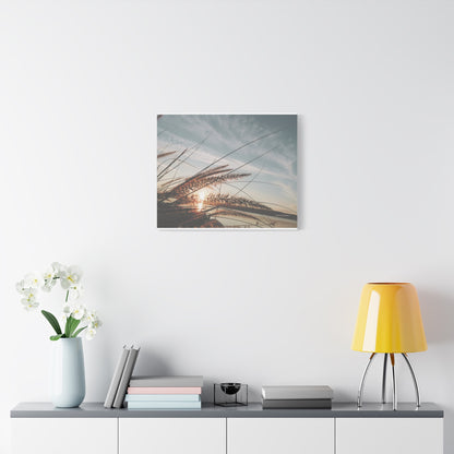 Grass, Matte Canvas, Stretched, 1.25"