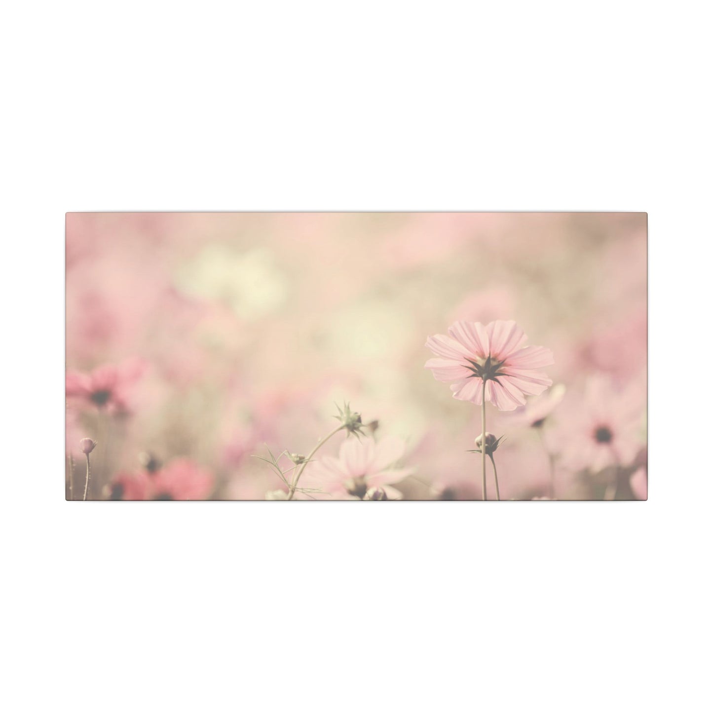 Floral, Matte Canvas, Stretched, 0.75"