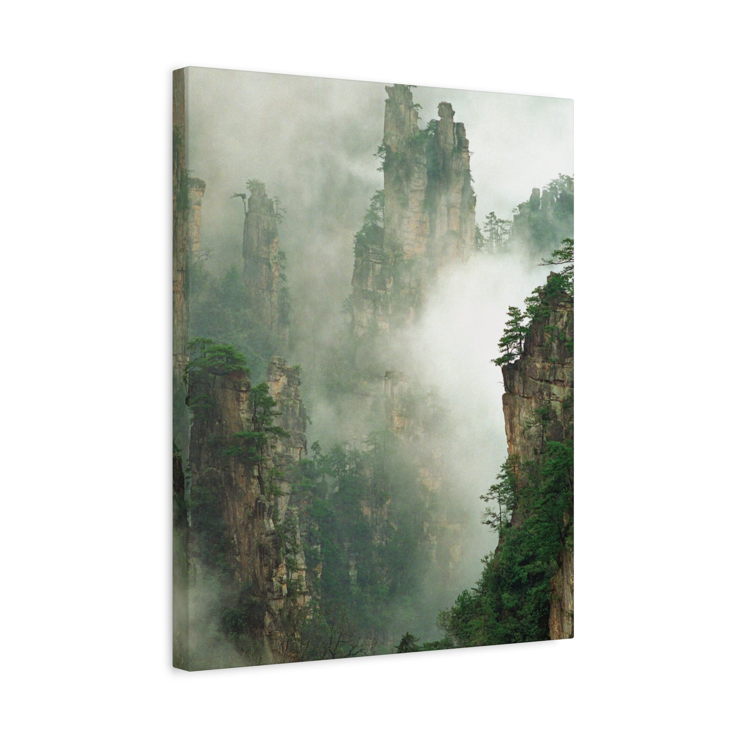 Forest, Matte Canvas, Stretched, 1.25"