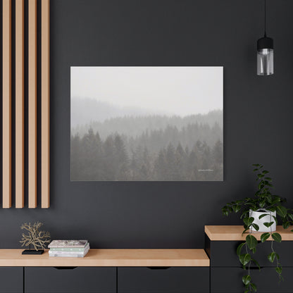 Forest, Matte Canvas, Stretched, 1.25"