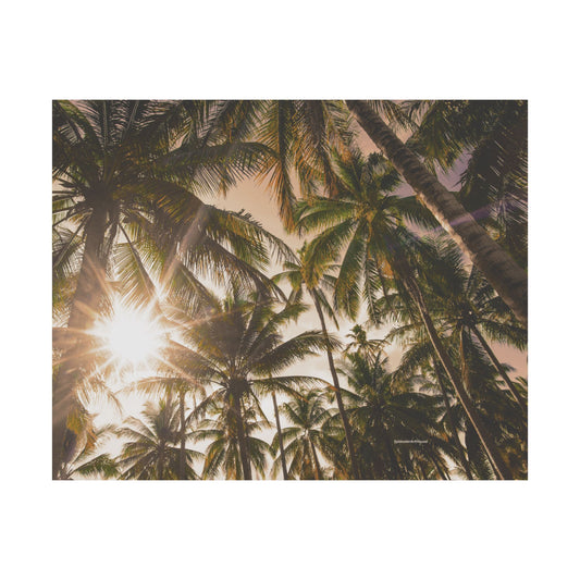Palm Trees, Matte Horizontal Poster