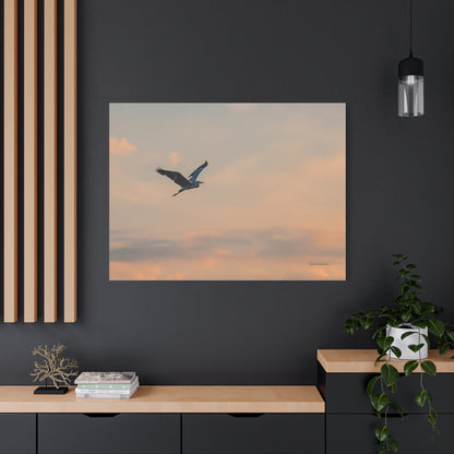 Bird, Matte Canvas, Stretched, 1.25"