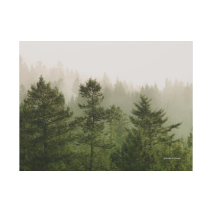 Forest, Matte Canvas, Stretched, 1.25"
