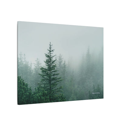Forest Trees, Matte Canvas, Stretched, 0.75"