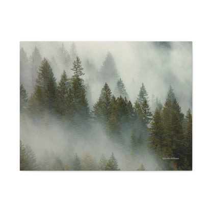 Forest, Matte Canvas, Stretched, 1.25"