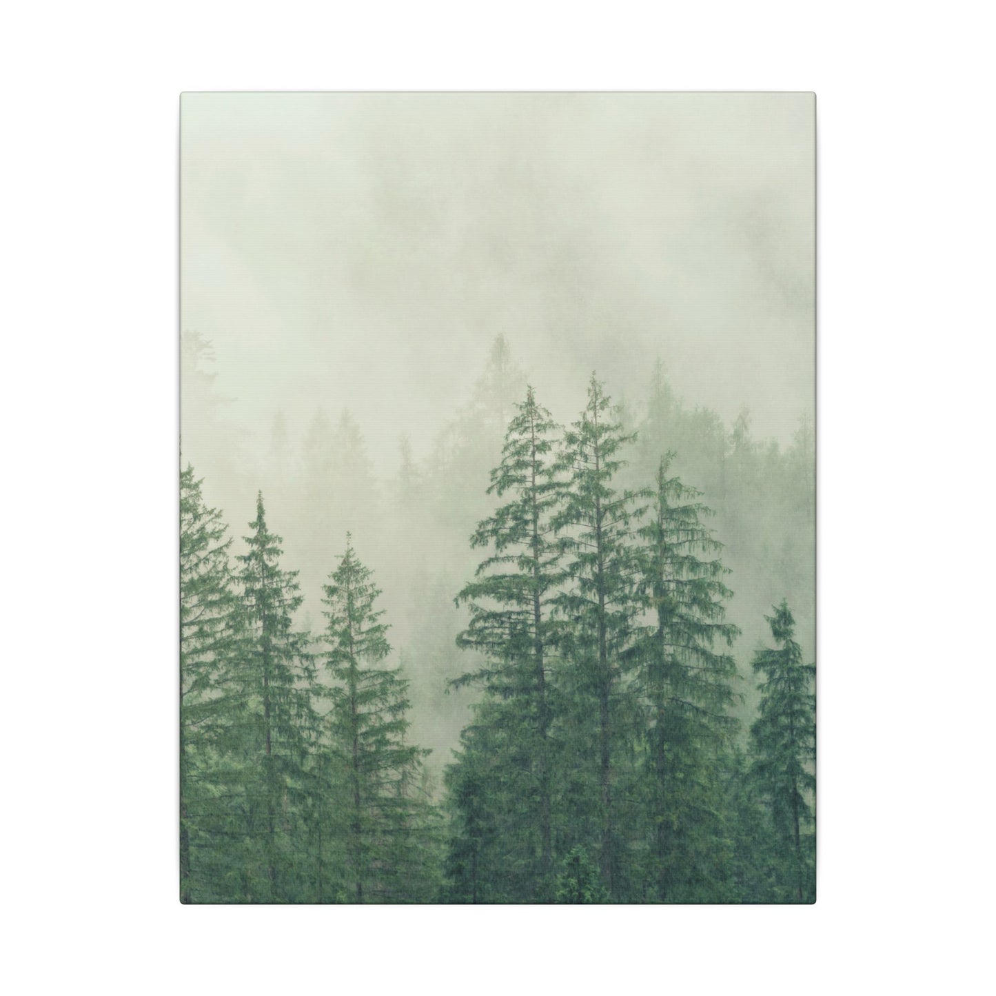 Forest Trees, Matte Canvas, Stretched, 0.75"