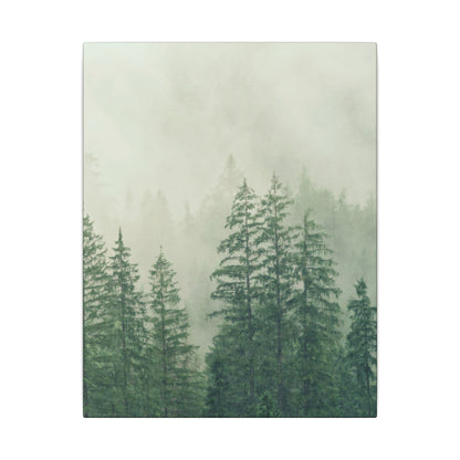 Forest Trees, Matte Canvas, Stretched, 0.75"
