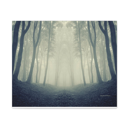 Forest, Matte Canvas, Stretched, 1.25"