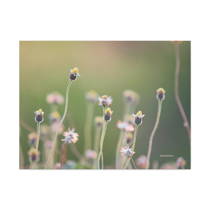 Floral, Matte Canvas, Stretched, 1.25"
