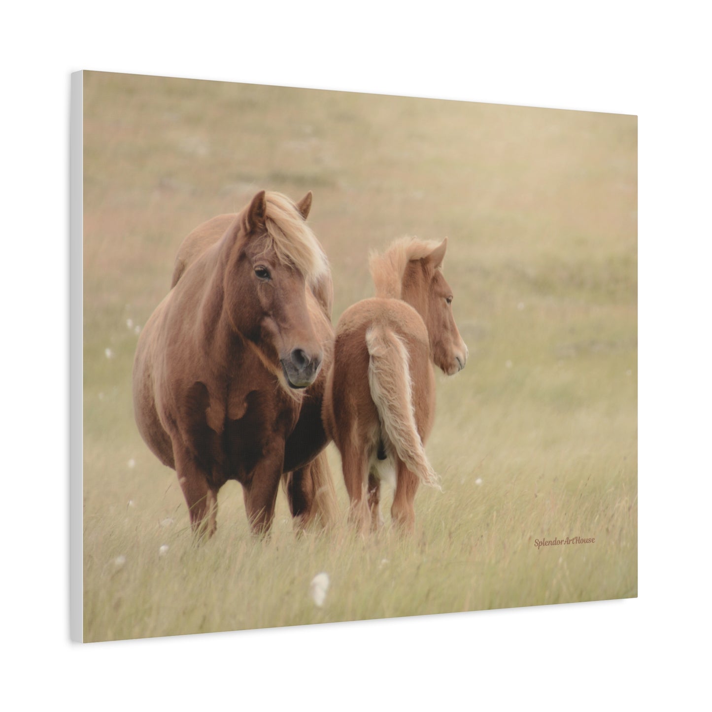 Wild Horses, Matte Canvas, Stretched, 1.25"