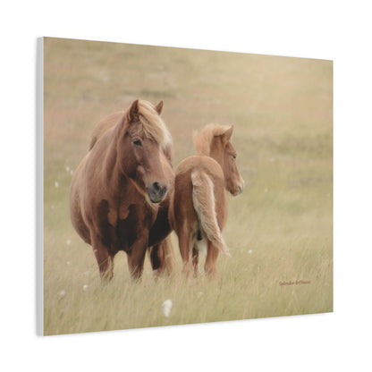 Wild Horses, Matte Canvas, Stretched, 1.25"