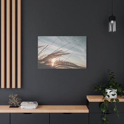 Grass, Matte Canvas, Stretched, 1.25"