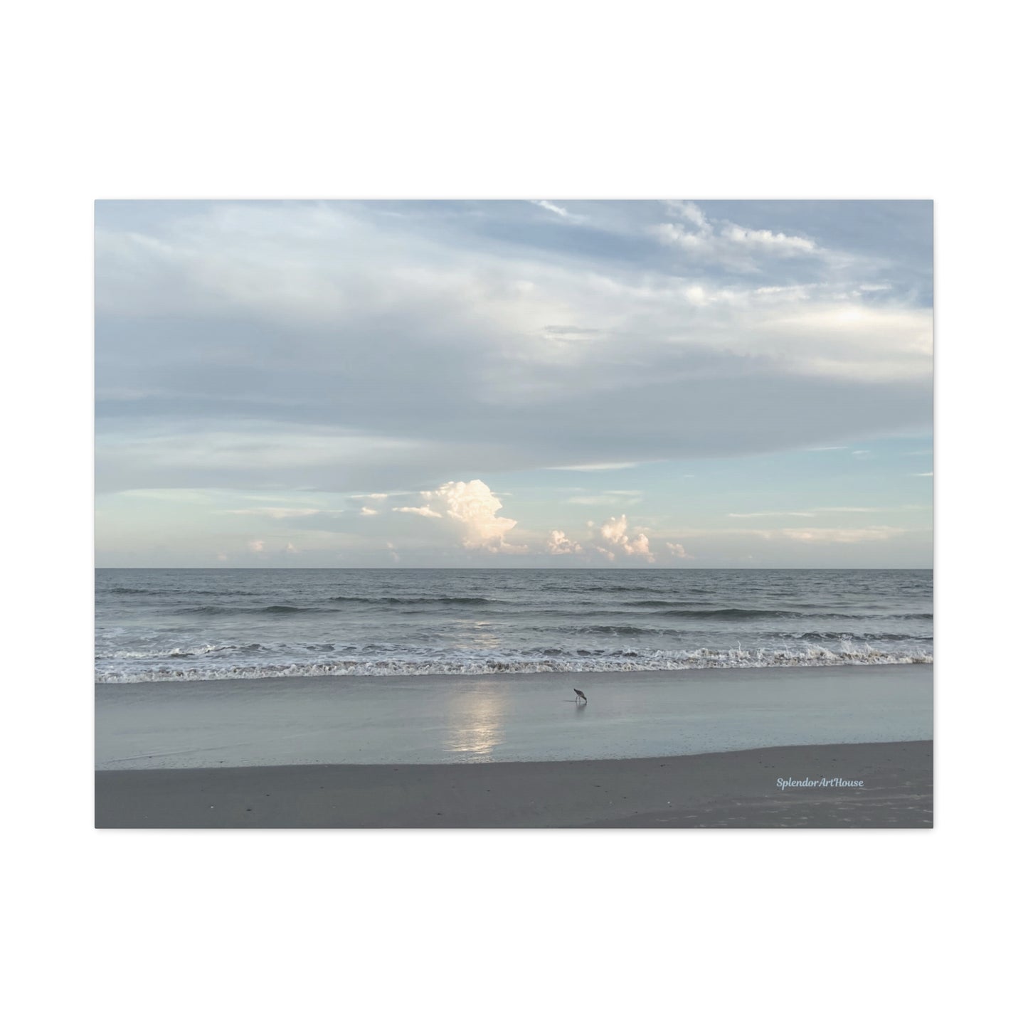 Ocean, Matte Canvas, Stretched, 1.25"