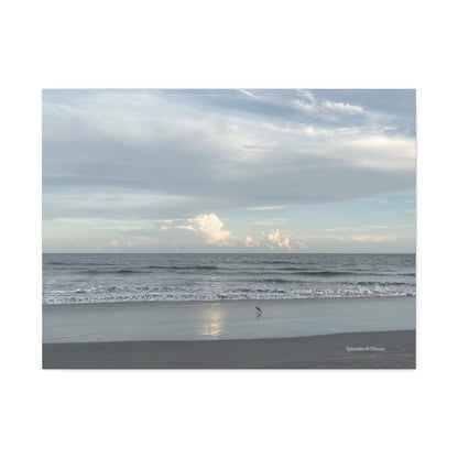 Ocean, Matte Canvas, Stretched, 1.25"