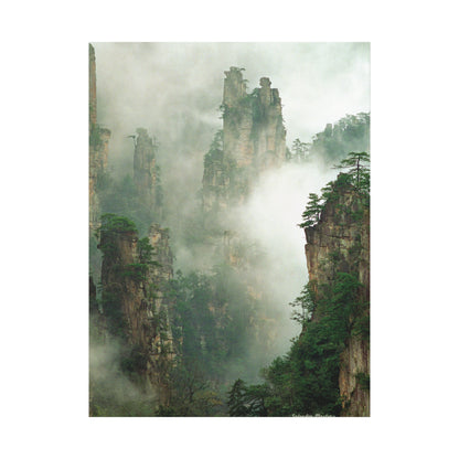 Forest, Matte Canvas, Stretched, 1.25"