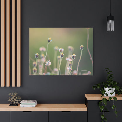 Floral, Matte Canvas, Stretched, 1.25"