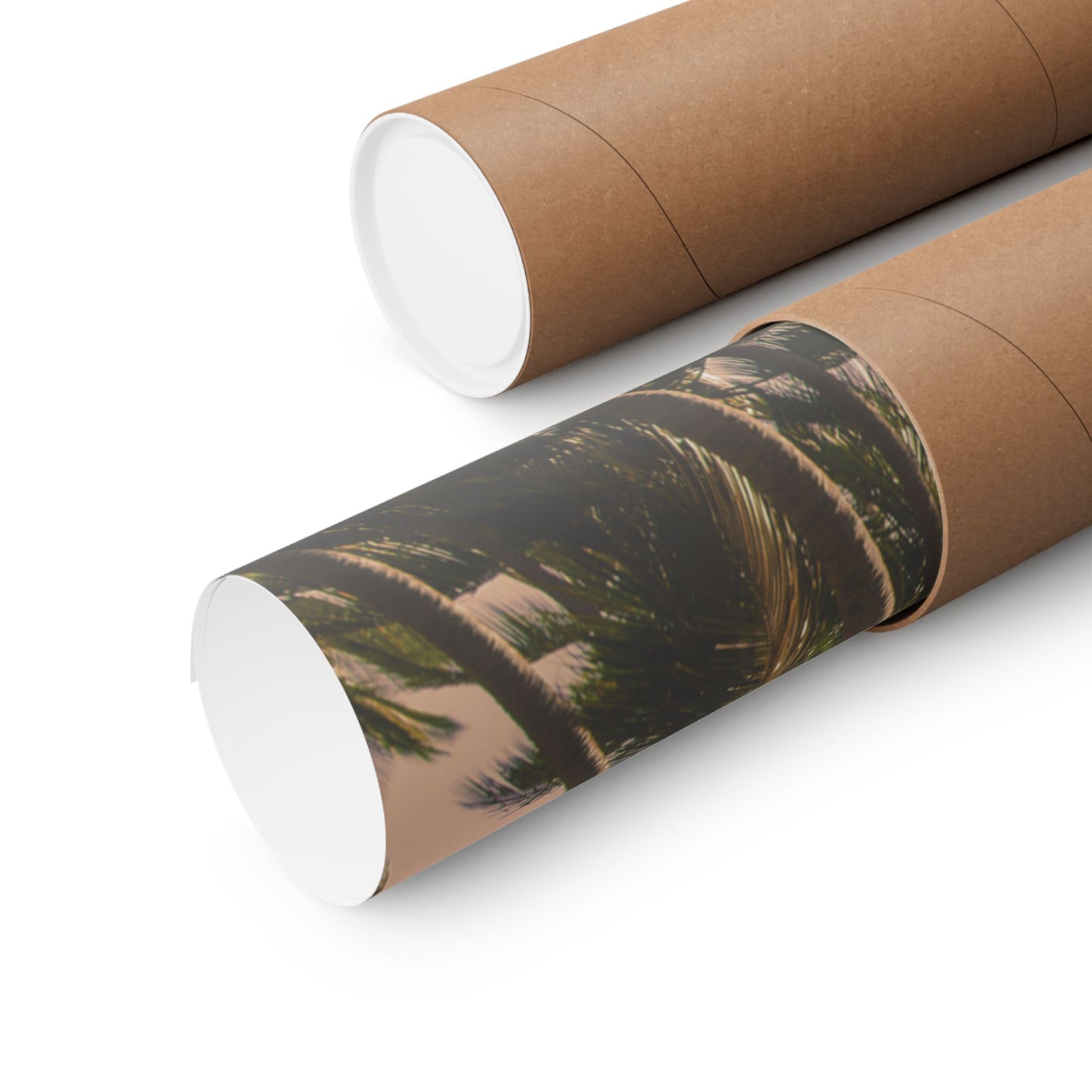 Palm Trees, Matte Horizontal Poster