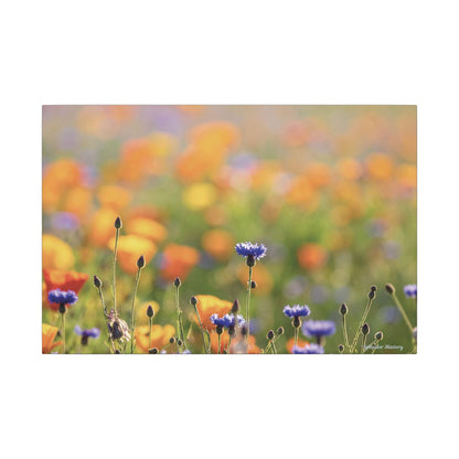 Floral, Matte Canvas, Stretched, 0.75"