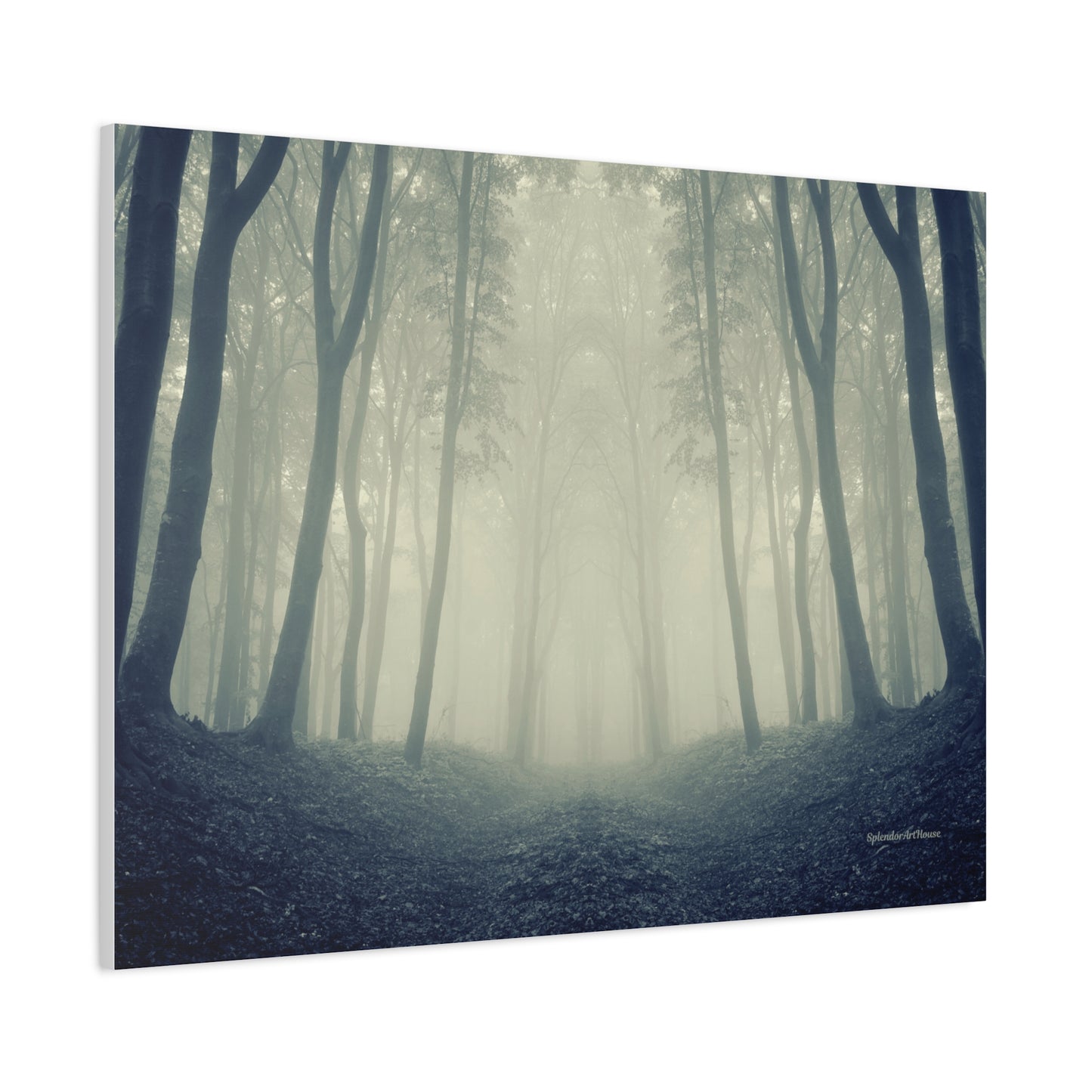 Forest, Matte Canvas, Stretched, 1.25"